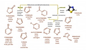 the reactivity of an atom arises primarily from the the reactivity of an atom arises primarily from the