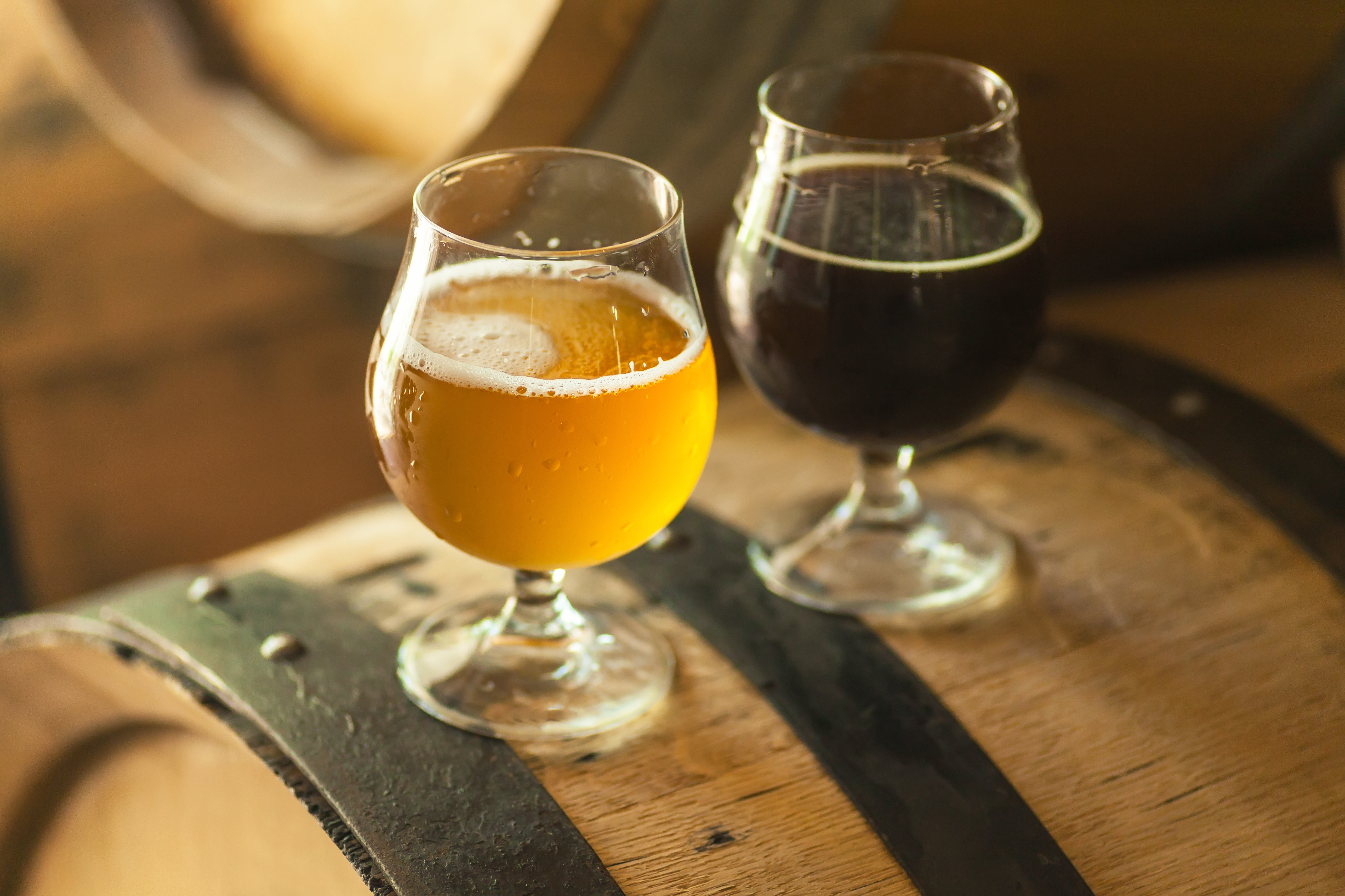 Two glasses of light and dark beer standing on an oak wood barrel
